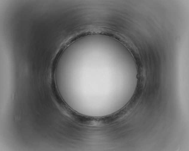 X0000113240496200909100925