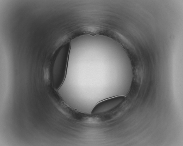 X0000113240500200909100925