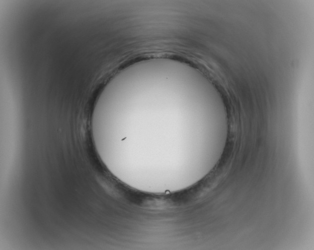 X0000113240503200909100925