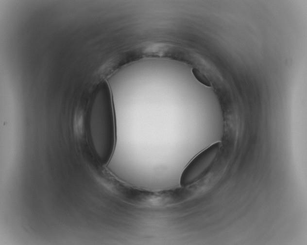 X0000113240504200909100925