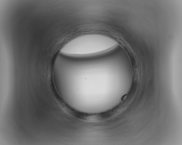 X0000113240505200909100925
