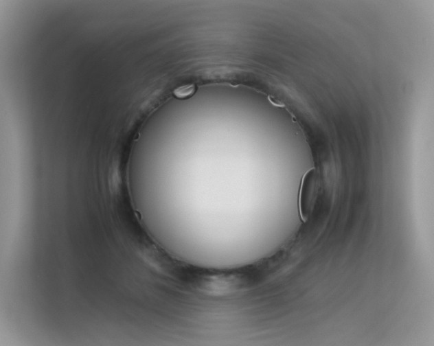 X0000113240508200909100925