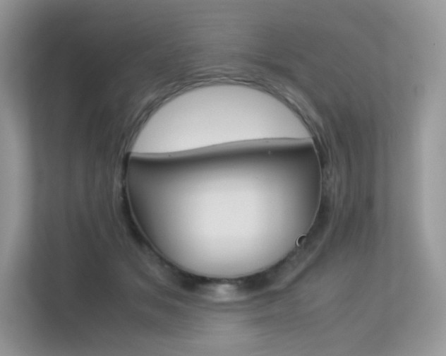 X0000113240509200909100925