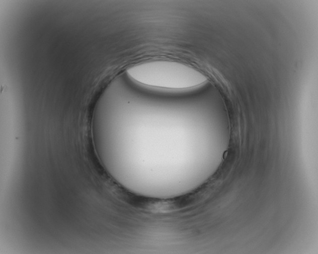 X0000113240513200909100925