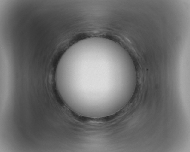 X0000113240515200909100925