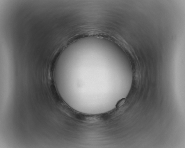 X0000113240516200909100925