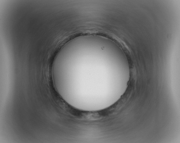 X0000113240517200909100925