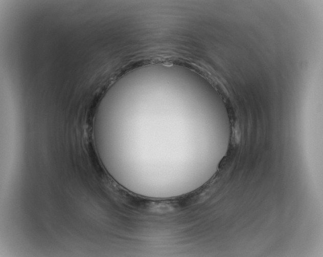 X0000113240520200909100925