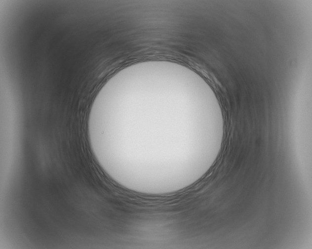 X0000113240521200909100925