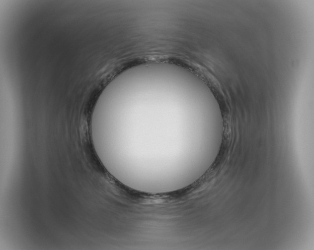 X0000113240523200909100925