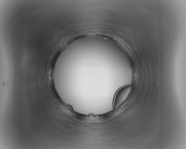 X0000113240525200909100925