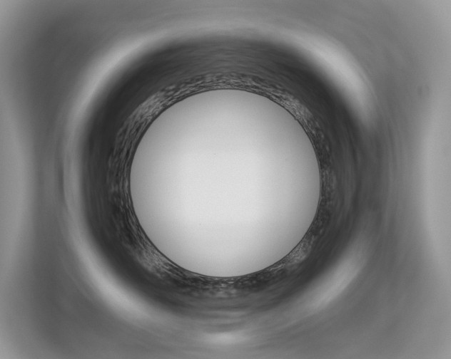 X0000113240526200909100925
