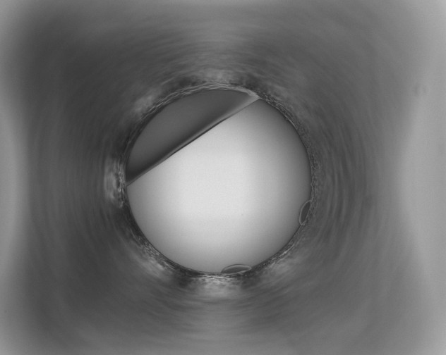 X0000113240528200909100925