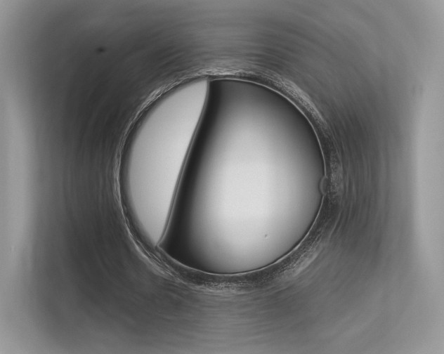 X0000113240530200909100924