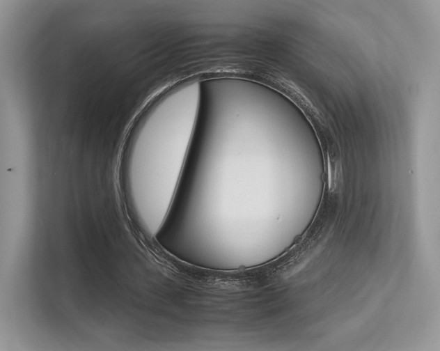 X0000113240531200909100924