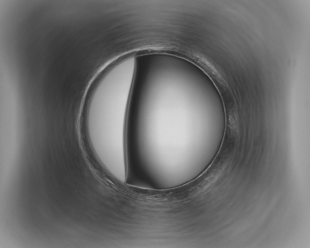 X0000113240532200909100925