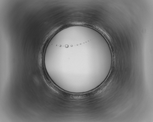 X0000113240533200909100925