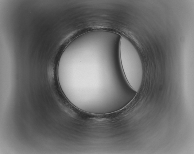 X0000113240539200909100925