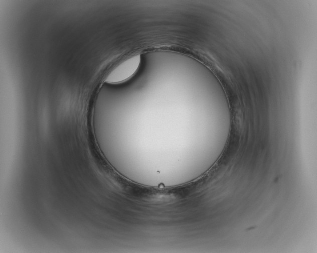 X0000113240543200909100925