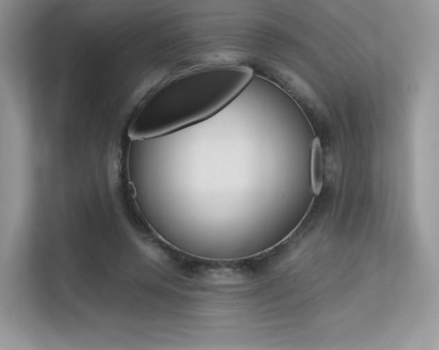 X0000113240544200909100925