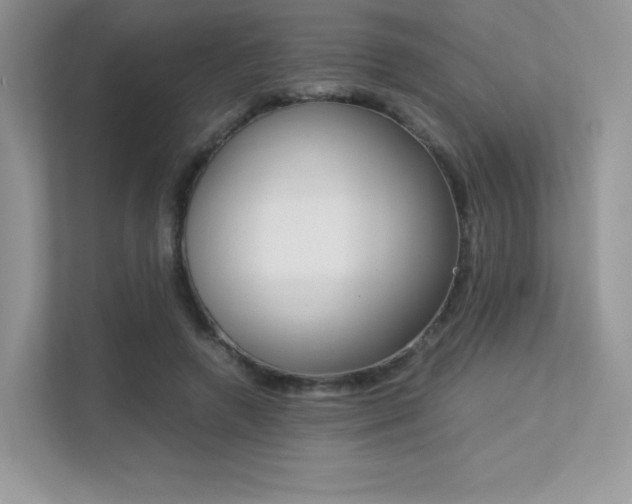 X0000113240546200909100925