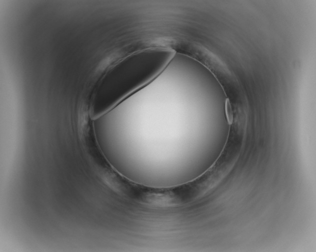 X0000113240548200909100925