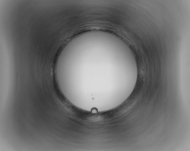 X0000113240551200909100925
