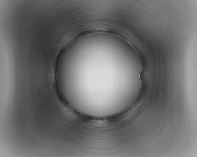 X0000113240552200909100925