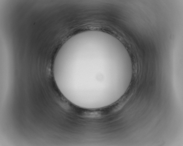 X0000113240553200909100925