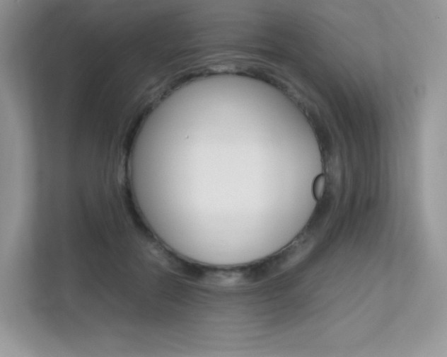 X0000113240554200909100925