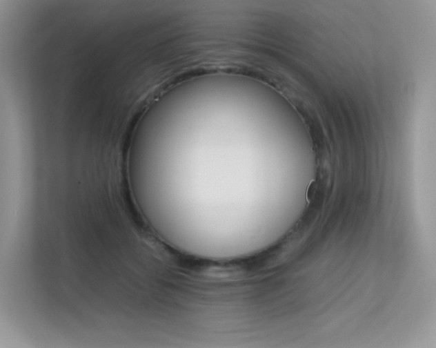 X0000113240556200909100925