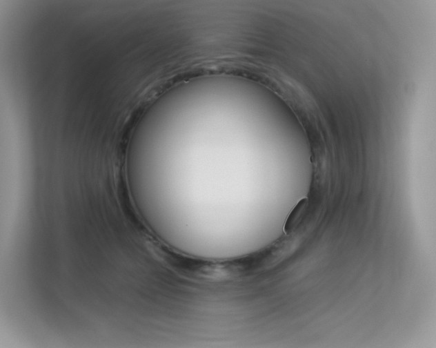 X0000113240558200909100925