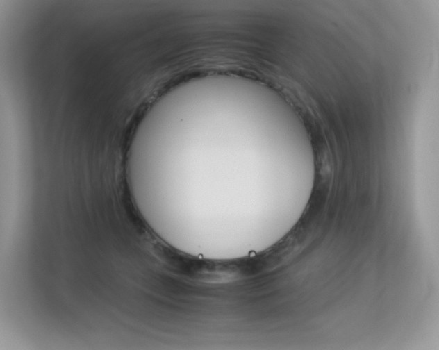 X0000113240559200909100925