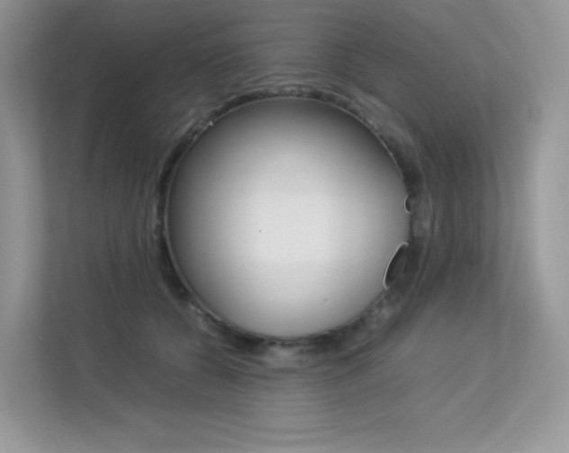 X0000113240560200909100925