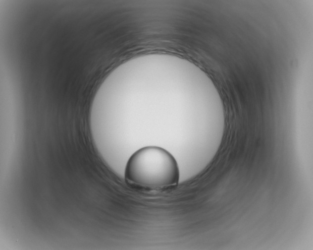 X0000113240562200909100925