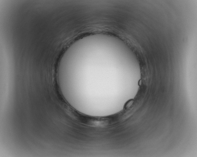 X0000113240563200909100925
