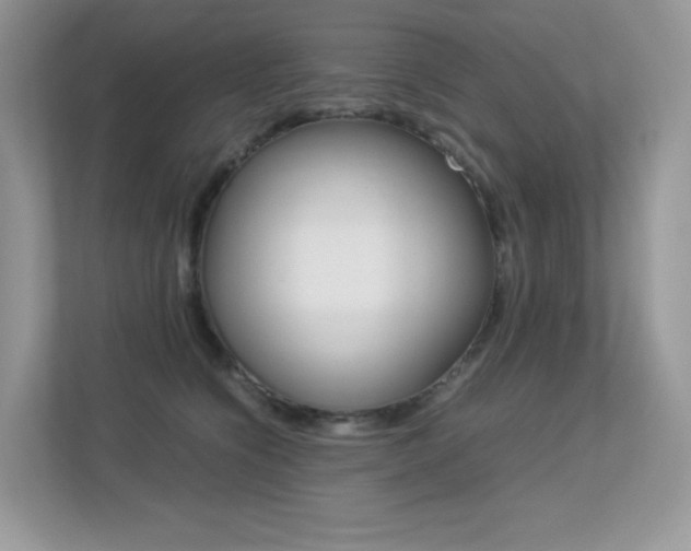 X0000113240564200909100925