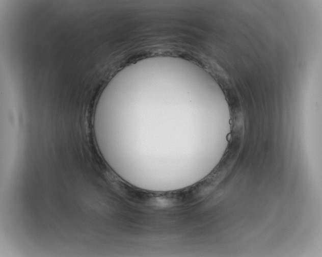 X0000113240565200909100925