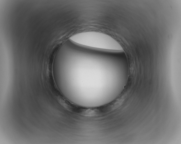 X0000113240566200909100925