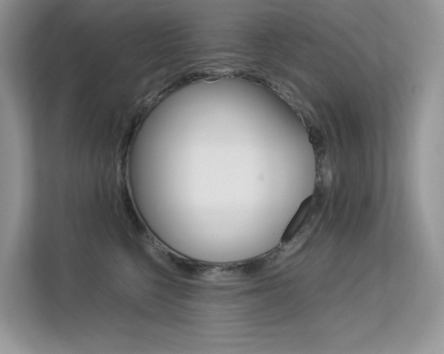 X0000113240568200909100925