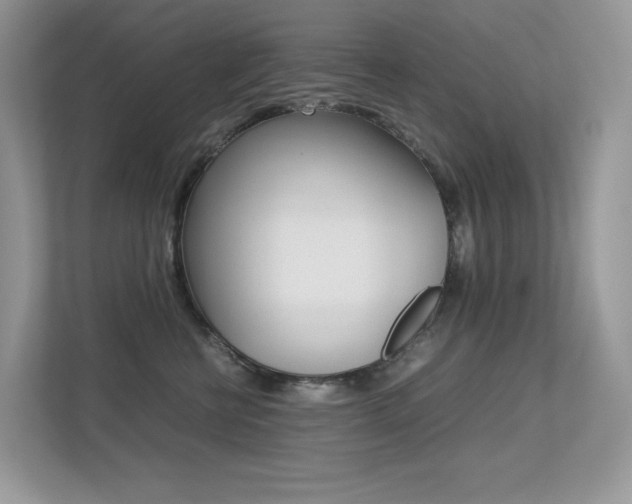 X0000113240570200909100925