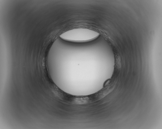 X0000113240571200909100925