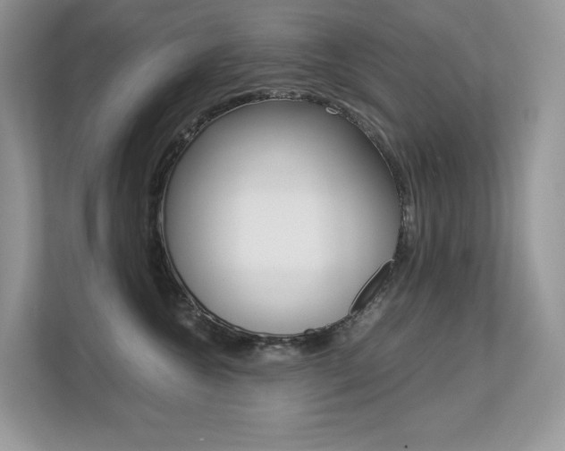 X0000113240572200909100925