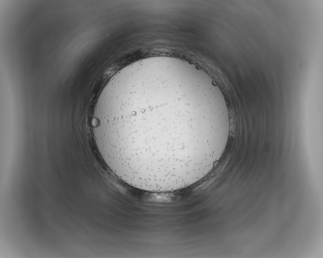 X0000113240573200909100925