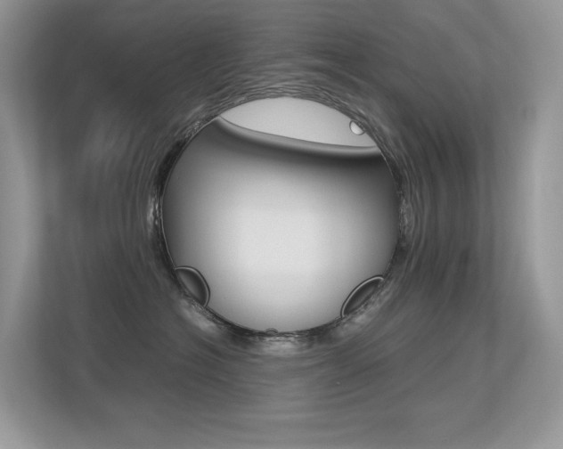 X0000113240574200909100925