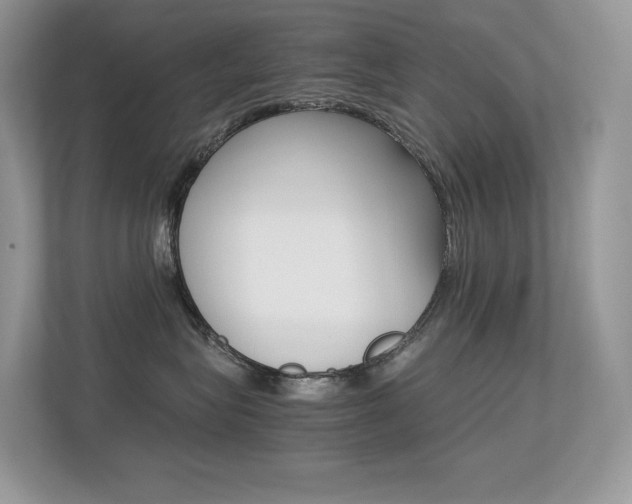 X0000113240575200909100925