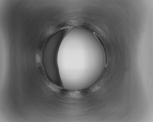 X0000113240576200909100925