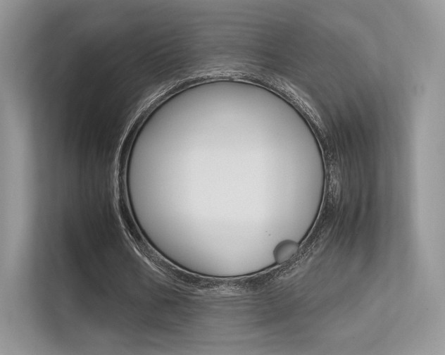 X0000113240578200909100924