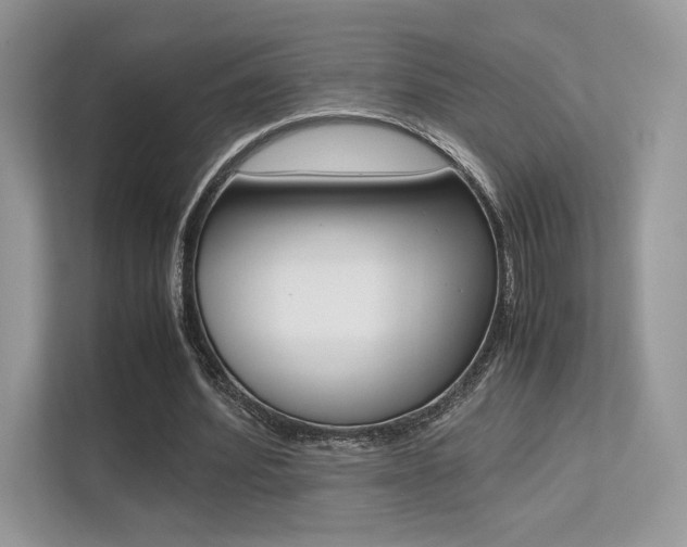 X0000113240580200909100924