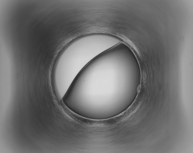 X0000113240581200909100924